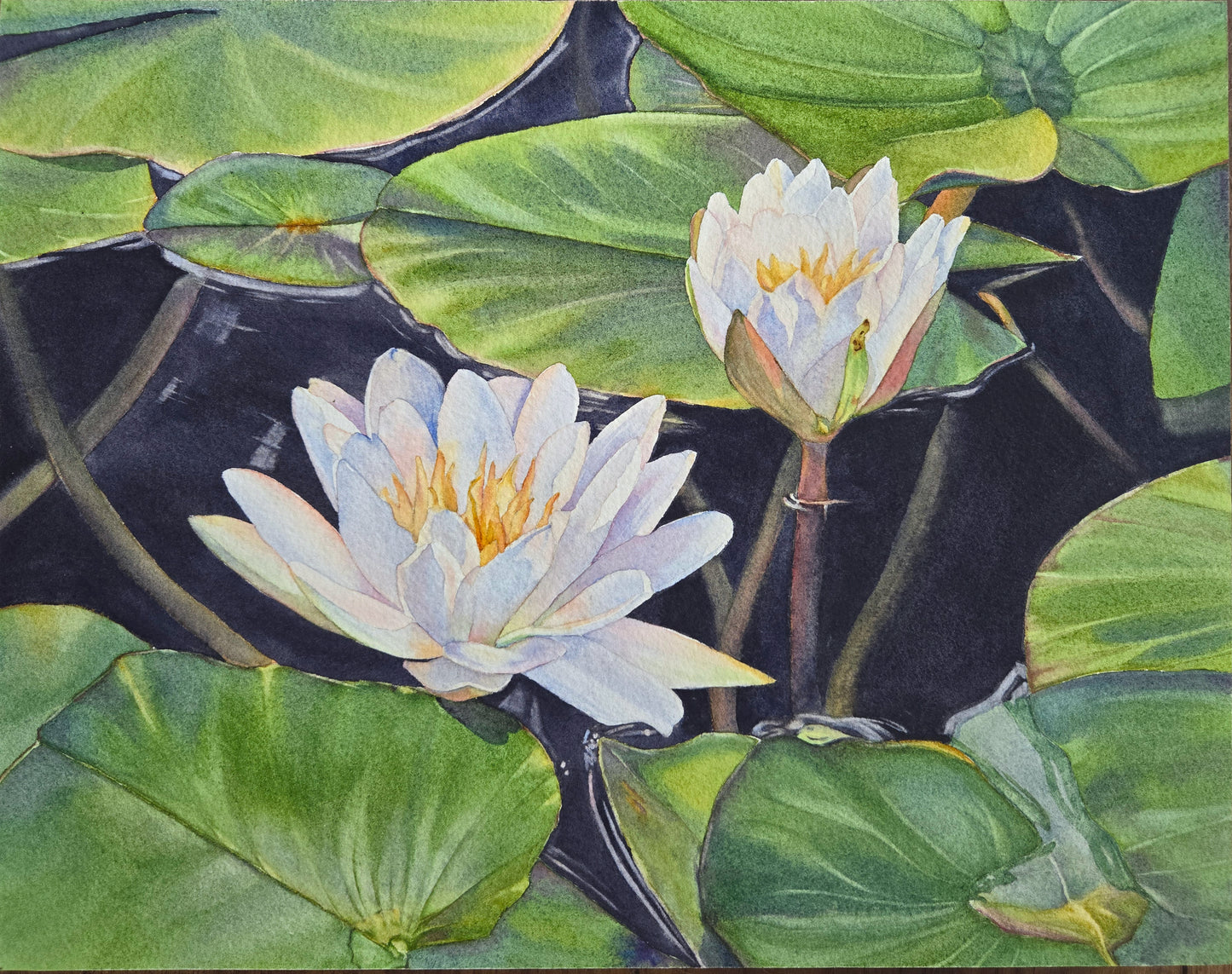 The Colours of White