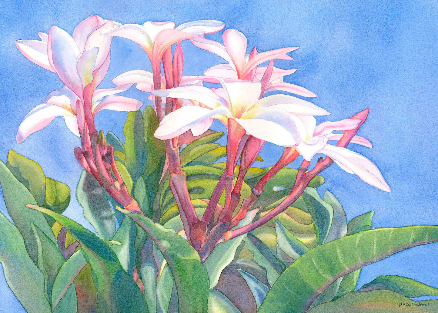 Tropical Arrangement