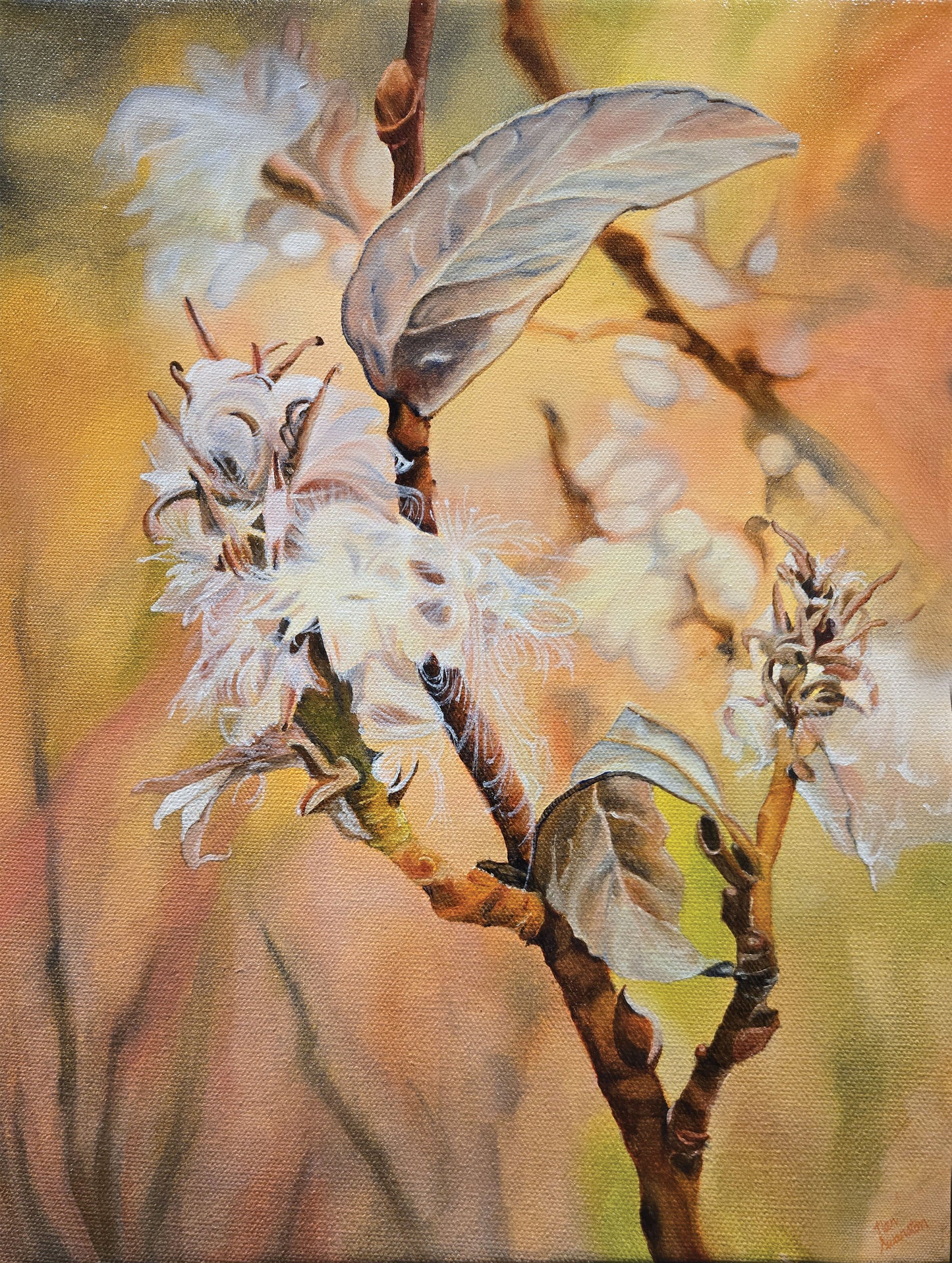 Wabi Sabi Willow
